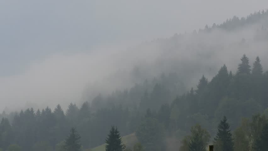 Mountain Landscape with White Fog Over the Forest in a Morning Day. Cold Steam Over the Trees in Alpine Nature.