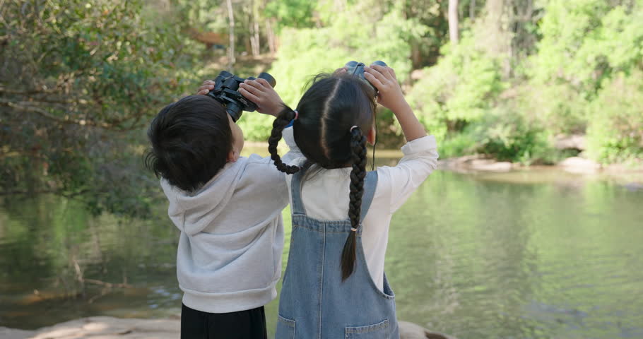 Shutterstock Video