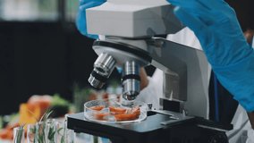 Food scientists in lab coats, testing samples, and analyzing food safety and quality in a modern laboratory environment. - Powered by Shutterstock - Get 15% off with code: PIKWIZARD15