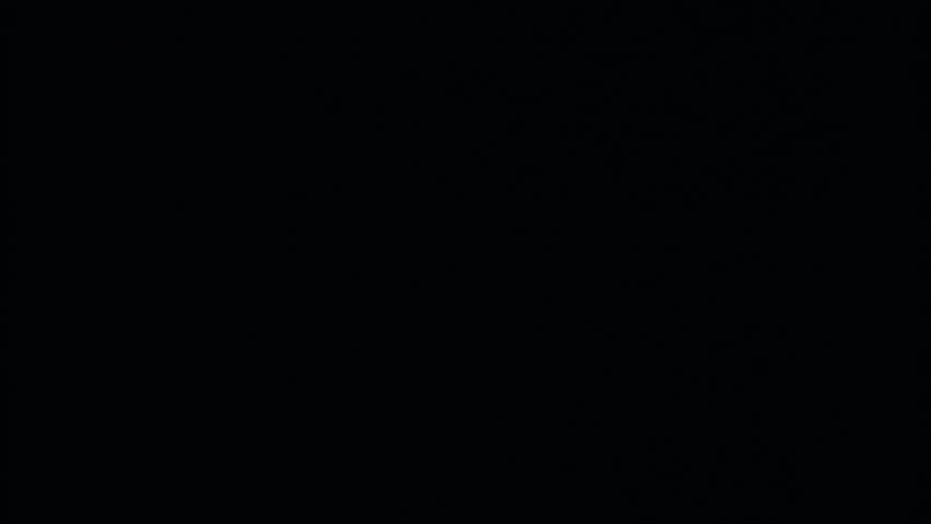 Match lighting and burning till the end and finally disappears from the flame on black background. The match lights up, burns and goes out. Burning match stick lights and then blown out.