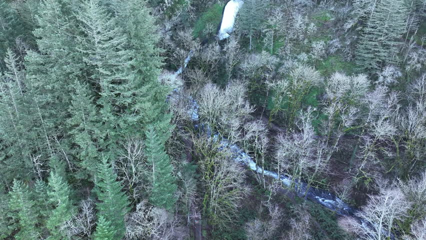The spectacular Bridal Veil Falls flows through a healthy forest in the Columbia River Gorge National Scenic Area, Oregon. The gorge, not far from Portland, contains a plethora of scenic waterfalls.