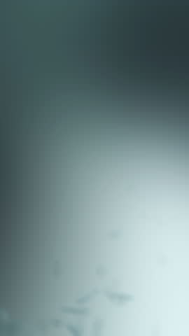 Shutterstock Video