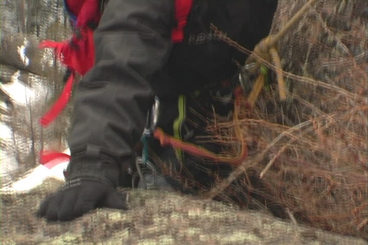 Rock climber.