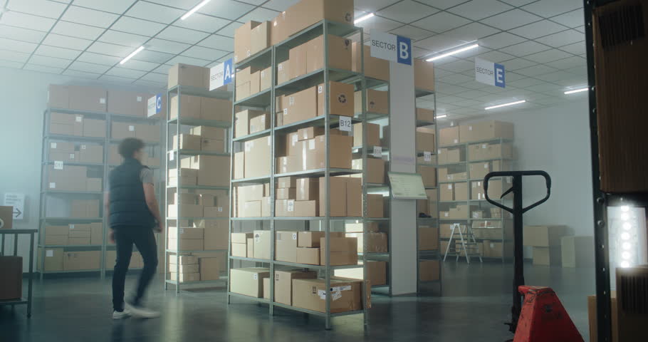 Timelapse of diverse sorting center employees carrying cardboard boxes, preparing parcels for shipping to clients. Warehouse facility of postal service or online store with E-commerce orders, goods.