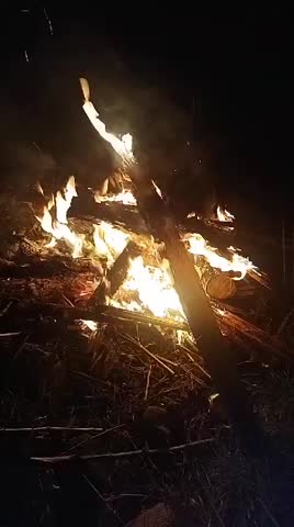 summer night, camp and bonfire