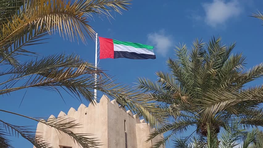 UAE flag waving in the blue sky between palm trees, national symbol of UAE. High quality 4k footage.