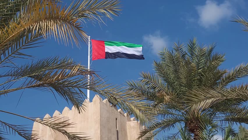 UAE flag waving in the blue sky between palm trees, national symbol of UAE. High quality 4k footage.