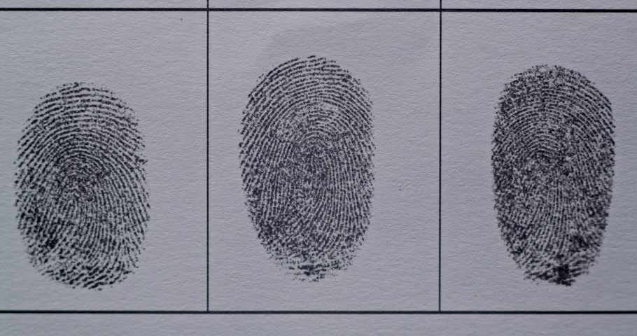 A detailed closeup view of fingerprints specifically for identification and verification purposes