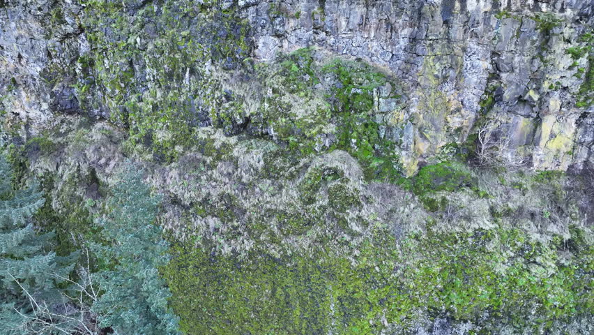 A beautiful waterfall flows tumbles into the Columbia River Gorge National Scenic Area, Oregon. The gorge, not far from Portland, contains a plethora of scenic waterfalls.
