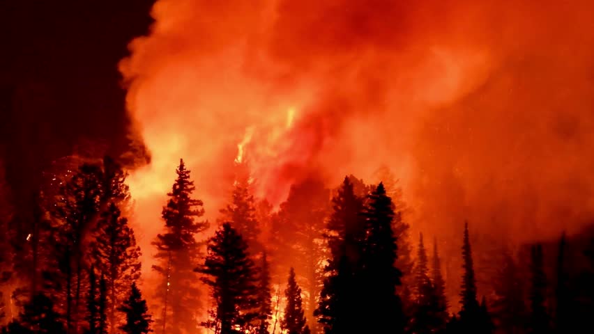 disturbing scenes of huge Forest fire result smog and red flames rise  in Los Angeles. Nature is burning due to climate change, deforestation damaging natural life causing huge loss, expensive forest 