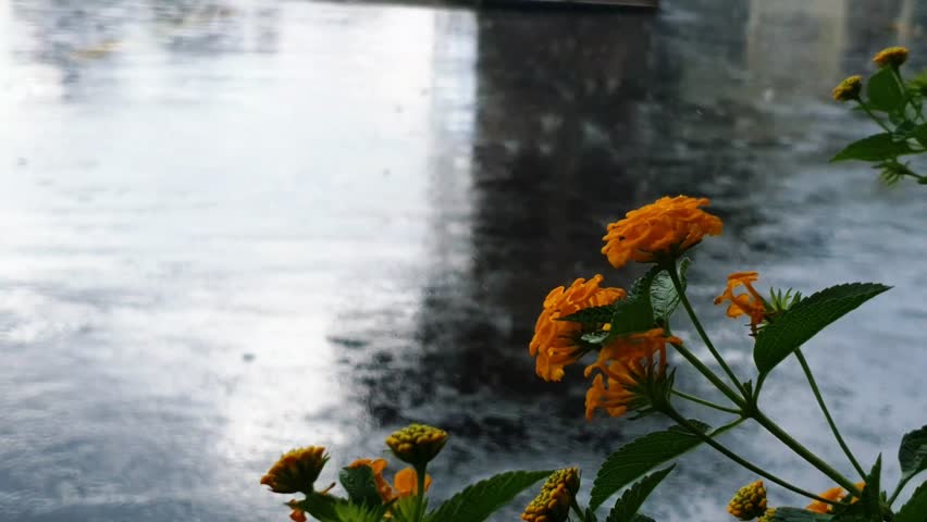 Heavy rain pouring down on street, rainy scenery, relaxing rain