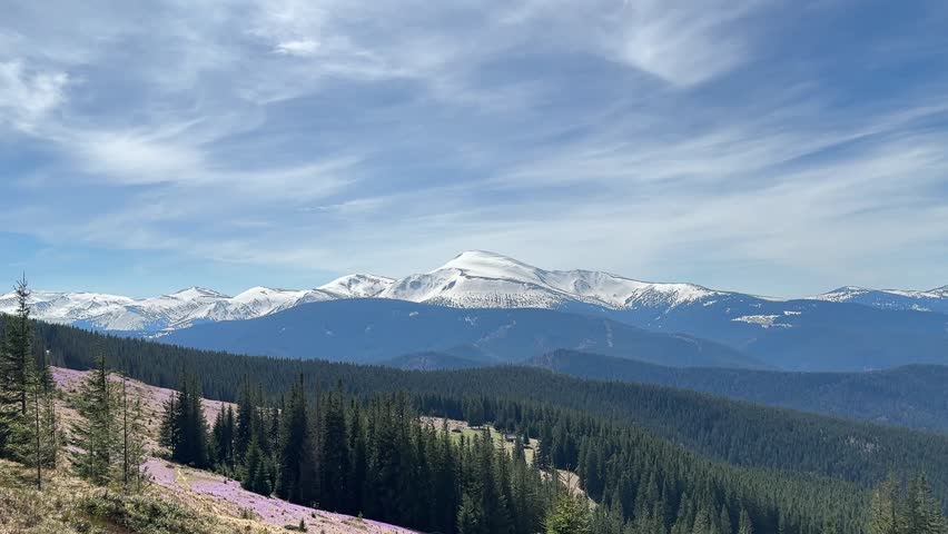 the beauty of the Carpathian mountains in spring