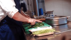 A professional chef chopping fresh herbs in a busy kitchen, preparing ingredients for a meal. The scene captures the focus and craftsmanship of culinary work in a vibrant restaurant setting - Powered by Shutterstock - Get 15% off with code: PIKWIZARD15
