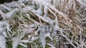  frozen kingdom of ice under the waterfall by the dam. coated leaves from the freezing drops of the stream. similarly in the meadow by the well of drinking water in the mountains near the farm - Powered by Shutterstock - Get 15% off with code: PIKWIZARD15