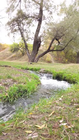 Fast stream in autumn park
