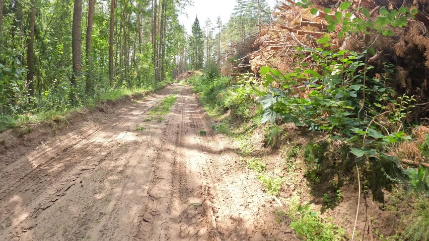 A bike ride along a forest road