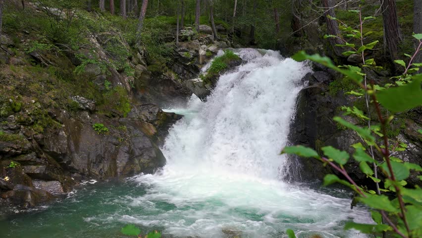Small waterfall in forest stream in green alps nature