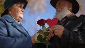 A close-up view of an elderly couple holding a vibrant red rose and a symbolic heart, celebrating love and connection in a scenic autumn park. The focus is on the hands and meaningful objects - Powered by Shutterstock - Get 15% off with code: PIKWIZARD15