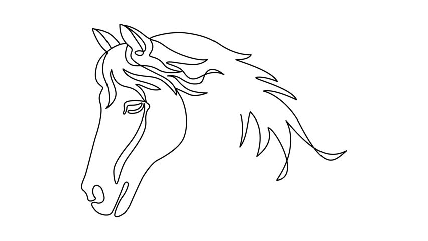 Horse head animated self drawing of single continuous line, continuous contour movement, video drawing of line in 4k, abstract, logo, tattoo, symbol of year, one line