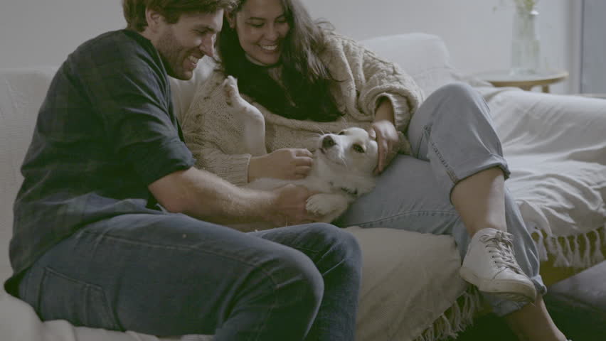 Couple, dog and stroke on living room couch with care, love and bonding together in family home. Young man, woman or animal parents with pet, puppy and happiness on lounge sofa to relax in apartment