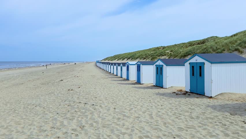 Colorful beach huts sit neatly in a row along the sandy shore of a peaceful Texel Netherlands beach. Gentle waves lap at the shore under a clear blue sky. The scene evokes relaxation and joy.
