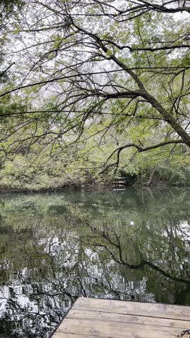 The enchanting beauty of the West Lake in Hangzhou, a UNESCO heritage site.