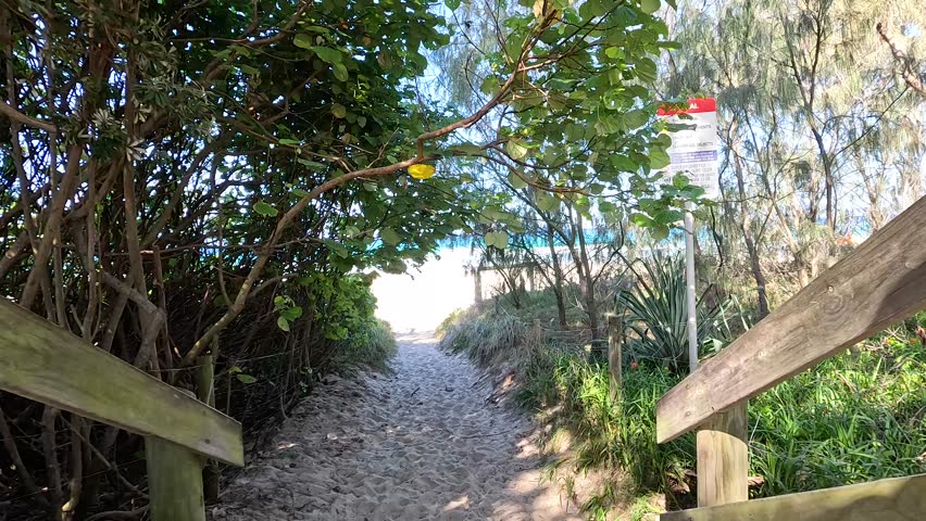 Sandy trail leading to a serene beach