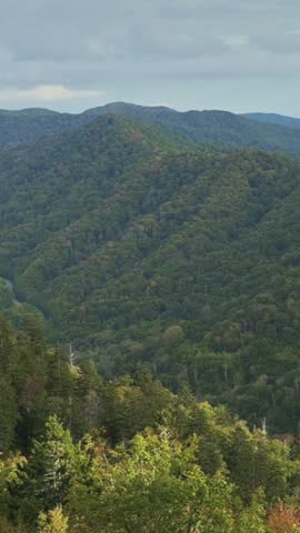 Vertical screen Lush Green Valleys of Smoky Mountains, USA Expansive view of Smoky Mountains verdant valleys, with dense forests stretching across rolling landscape under cloudy sky verdant valleys