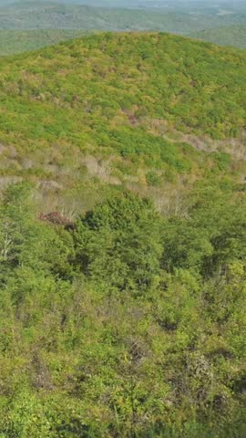 Vertical screen Lush Green Landscape of Appalachian Trail Scenic view of Appalachian Trail with rolling hills covered vibrant green foliage, showcasing natural beauty tranquility hills covered green 
