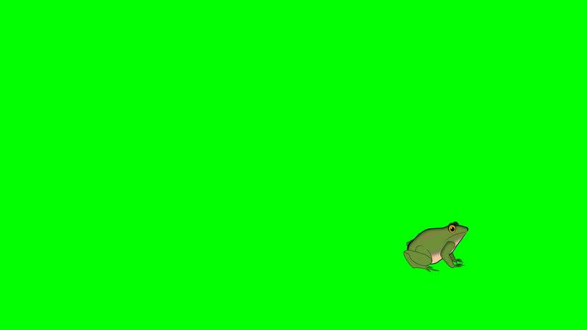 2d animated cartoon character of Cute green frogs running and jumping on the beach or in a pond or among lotus flowers in a flock or group. in green screen background chroma key.