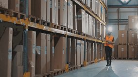 Inventory in a large multi-level warehouse. Warehouse worker doing inventory control with a tablet computer. - Powered by Shutterstock - Get 15% off with code: PIKWIZARD15