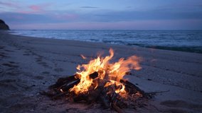 A bonfire on an untouched sandy shore, framed by the serene ocean and dusk sky. Perfect for concepts of solitude, nature, and warmth - Powered by Shutterstock - Get 15% off with code: PIKWIZARD15