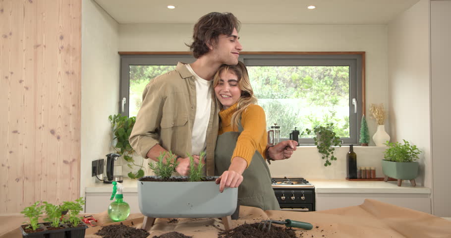 Couple planting herbs together in kitchen, enjoying gardening at home. hobby, lifestyle, domestic, teamwork, relationship