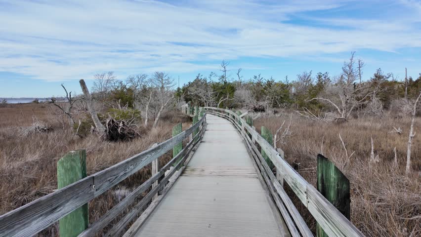 Walking along a bridge over a coastal marsh, swamp