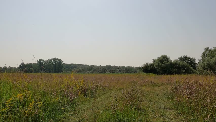 Trails and track of a 4x4 safari in Europe. Frontal point of view in summer  tree forest meadow.