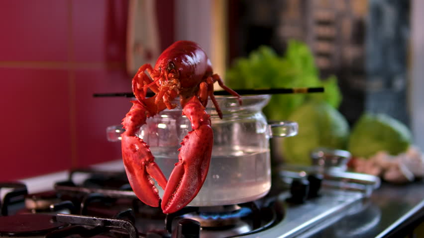 Lobsters in pot of boiling water begin to cook - close up as waves of hit escape the pot