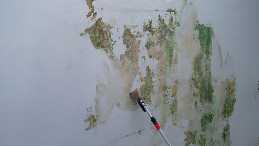 Man removing old paint from wall with a spatula, revealing mold underneath. Home renovation, mold issues, and wall restoration concept.