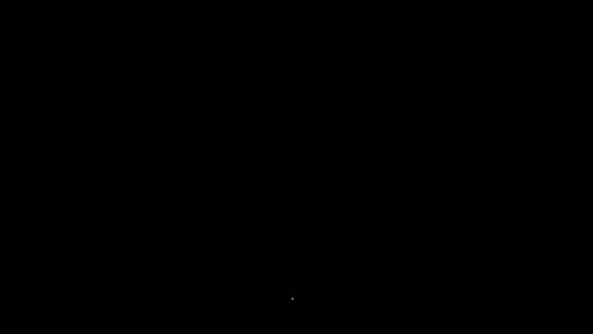 Animated One continuous line drawing of hummingbird. Minimal bird line art animation full length video clip. 