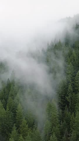 Aerial view of beautiful mountain landscape. Fog rises over the mountain slopes