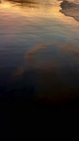 Stunning Costa Rican beach at sunset, with vibrant colors reflecting off the calm ocean waves.