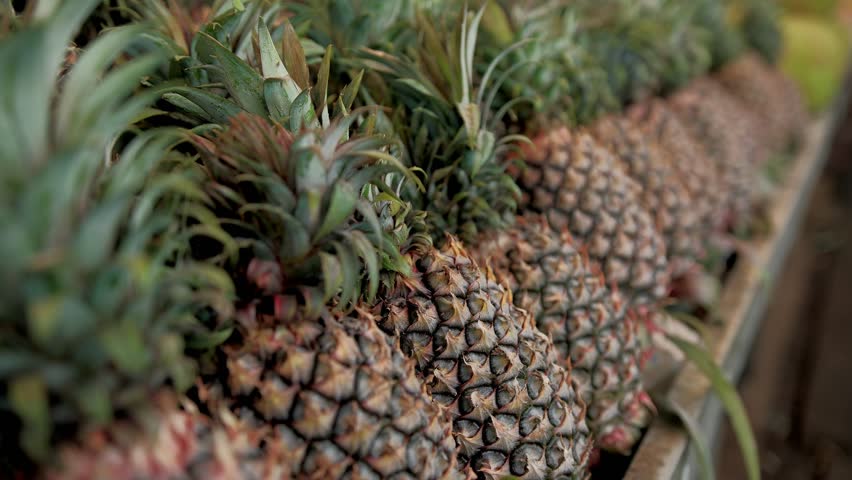 Ripe pineapples lined up, at local street market shelves, showcasing fresh tropical harvest, Malaysia