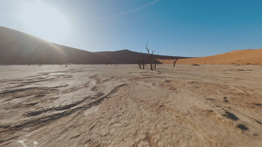 Desert Landscape with Dry Trees in Africa