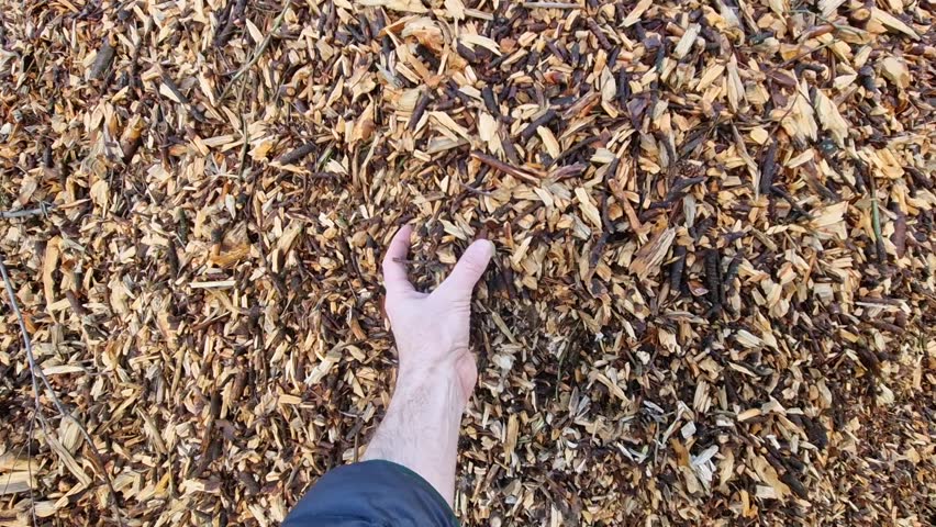 mulch bark. pieces of wood chips to prevent weed growth and weed germination. branch crusher, cleaning of shrubs and invasive species.  grow under the high voltage wire