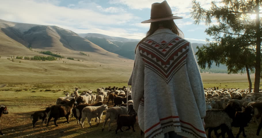 Young woman shepherd wearing a hat and poncho walking toward a flock of sheep grazing peacefully in a mountain valley at sunset, with warm lens flare illuminating the serene landscape