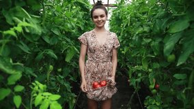 A woman smiles as she holds freshly harvested tomatoes in her dress while standing in a lush greenhouse garden. This video captures the beauty of organic farming and healthy produce. - Powered by Shutterstock - Get 15% off with code: PIKWIZARD15