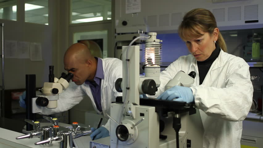 Two scientists carry out research, looking through microscopes. Medium shot with