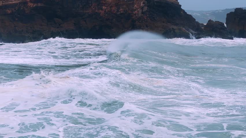 Shutterstock Video