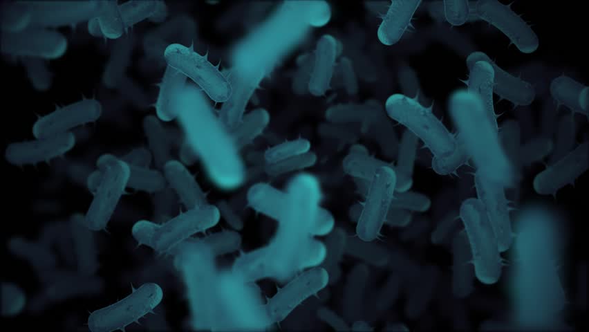 Close up, microscopic view of infectious bacteria cells flowing towards the camera. Ideal for projects related to microbiology, healthcare and science. Full HD and looping medical background.