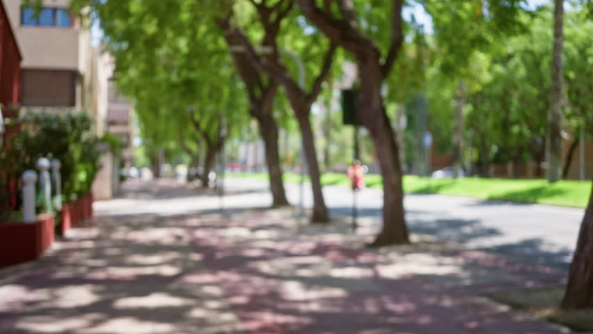 Blurred outdoor scene with defocused trees, sidewalk, parked car, and sunny weather on a quiet street