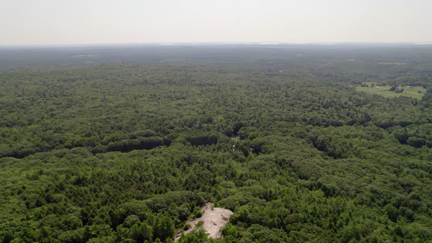 Expansive forested view from Bradbury Mountain